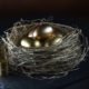 An Image Of Golden Eggs Resting In A Birds Nest Put On By Secure Money Advisors In Pittsburgh