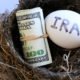 An Image Of Money And An Egg Inside A Birds Nest To Represent Moving Your 401(k) Into An IRA Put On By Secure Money Advisors In Pittsburgh