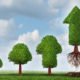 An Image Of Four Trees Progressively Growing To Represent Successful Investing Put On By Secure Money Advisors In Pittsburgh