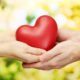 An Image Of Two People Holding Out A Heart To Represent Generating Retirement Income With A Split Interest Charitable Trust Put On By Secure Money Advisors In Pittsburgh