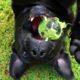 An Image Of A Black Dog On Its Back Holding A Tennis Ball To Represent How You Can Keep More Of Your Own Money After Retirement Put On By Secure Money Advisors In Pittsburgh
