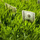An Image Of Hundred Dollar Bills In The Grass Put On By Secure Money Advisors In Pittsburgh