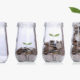 An Image Of A Jar With Coins And Seed Growing As Coins Start To Run Out Put On By Secure Money Advisors In Pittsburgh