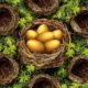 An Image Of Golden Eggs In A Nest Surrounded By Empty Nests Put On By Secure Money Advisors In Pittsburgh