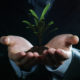 An Image Of A Hand Holding A Plant Symbolizing A New Approach To Financing Retirement Put On By Secure Money Advisors In Pittsburgh