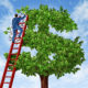 An Image Of A Man Climbing On A Tree Shaped Like A Dollar Sign Put On By Secure Money Advisors In Pittsburgh About Retirement Expenses To Be Prepared For