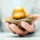 An Image Of A Golden Egg In A Nest Put On By Secure Money Advisors In Pittsburgh